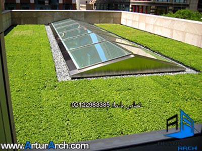 green roof